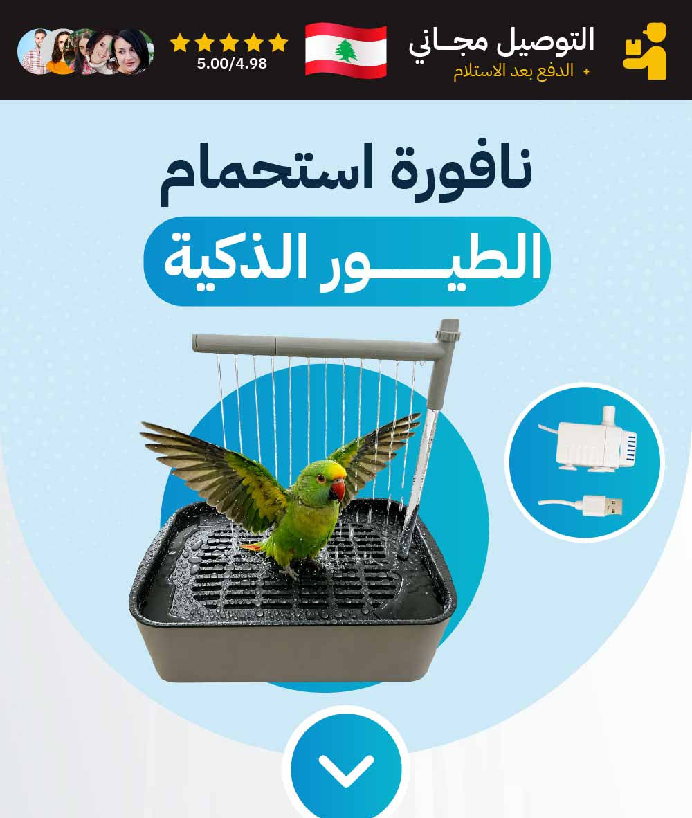 نافورة استحمام الطيور الذكية