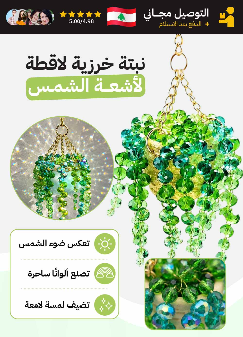 نبتة خرزية لاقطة لأشعة الشمس