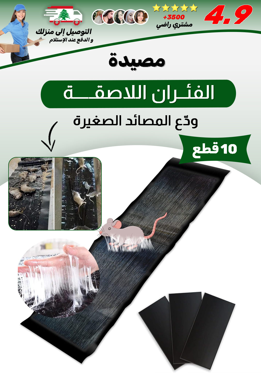 مصيدة فئران لاصقة  10 PCS
